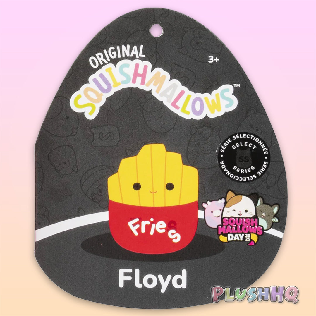 Squishmallows 8-inch Select Series Floyd the Fries with Letters Falling Off