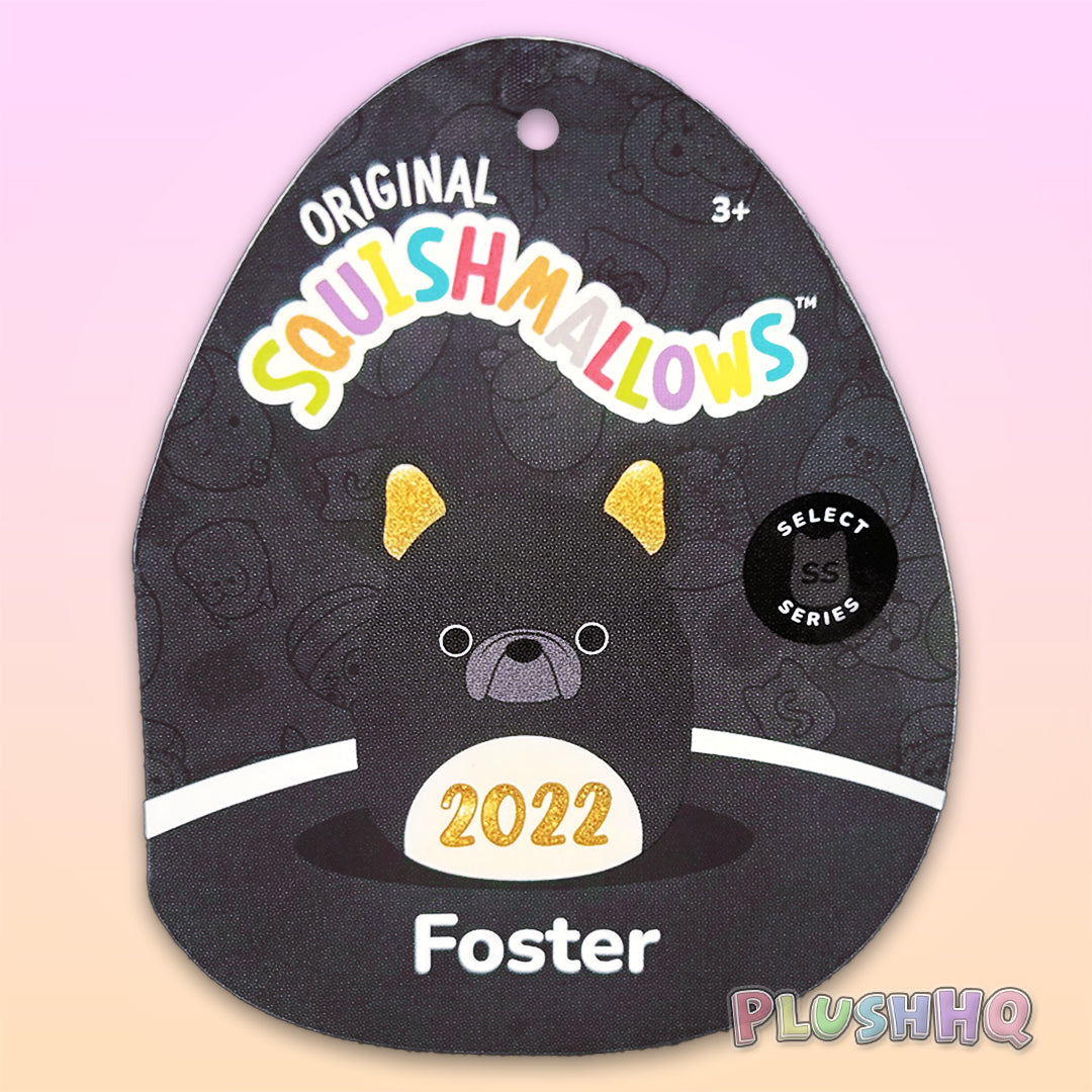 Squishmallows 12-Inch Select Series: Foster the French Bulldog
