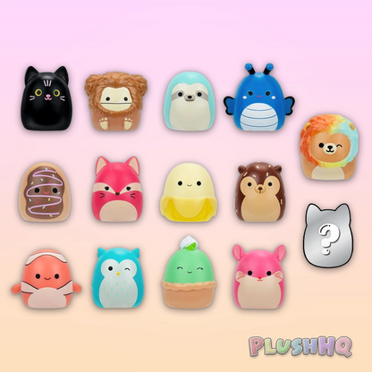 Squishmallows Squish-a-longs Series 1 Style 1 (14-Pack)