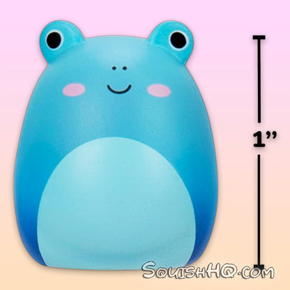 Squishmallows Squish-a-longs Series 1 Style 2 (8-Pack)